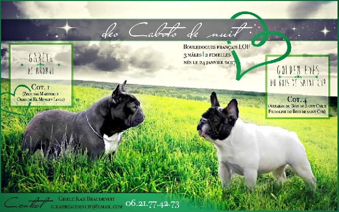 Des Cabots De Nuit - Mariage heureux